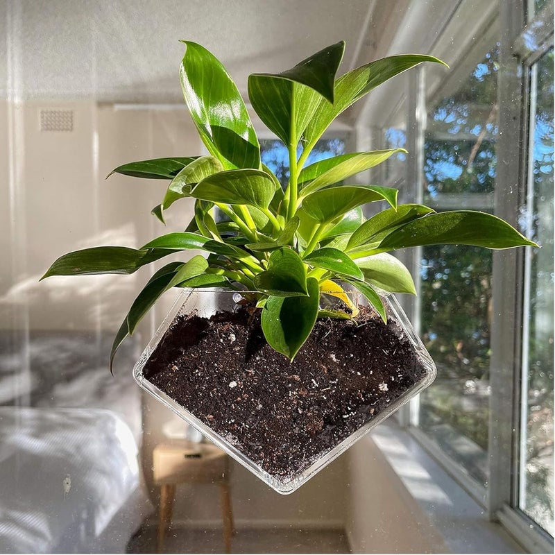 wdcfxy Transparent Acrylic Diamond Shape Suction Cup Window Planter, Ideal for Succulents, Cactus, Boxes or Indoor Herbs Pots, Home Decor Plant Holder or Kitchen - Image 1
